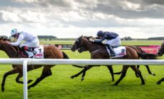 Une course hippique en Irlande - Florian Christoph - cc