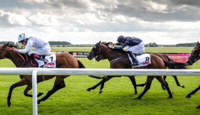 Une course hippique en Irlande - Florian Christoph - cc