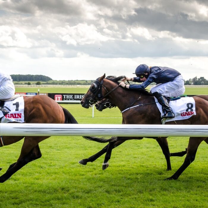 Une course hippique en Irlande - Florian Christoph - cc