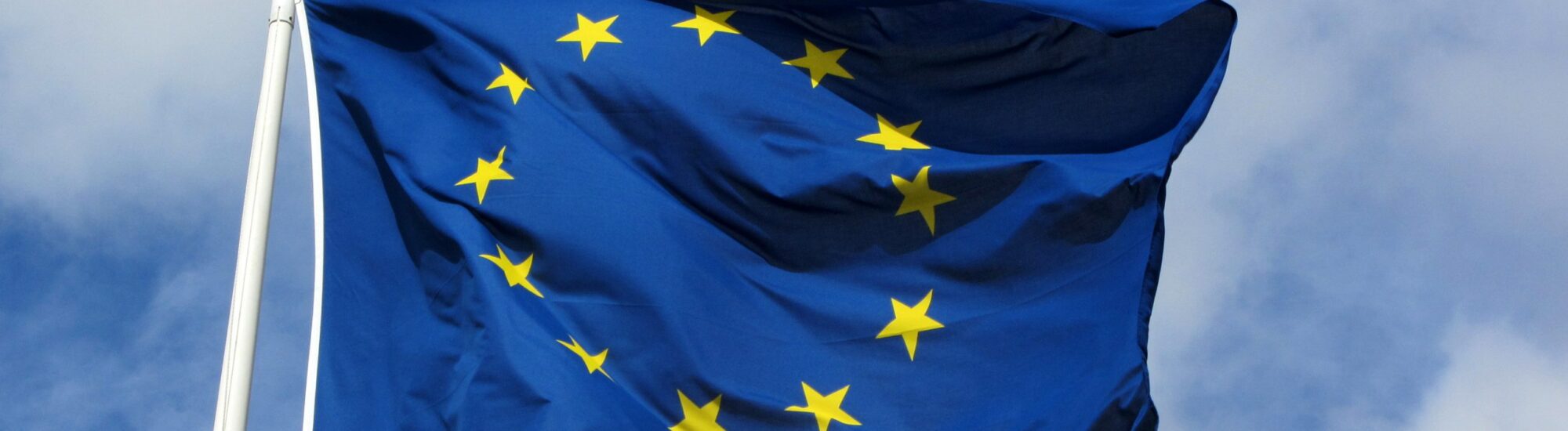 Drapeau de l'U.E. - MPD01605 - cc