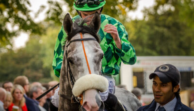 Le Leopardstown Christmas Festival
