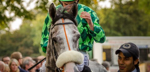 leopardstown christmas festival