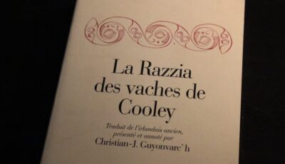 Cooley's Cow Razzia - Ireland Guide.com