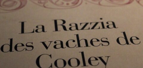 razzia vaches de cooley
