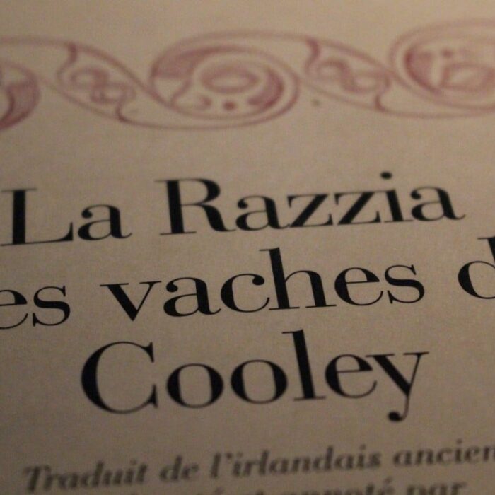 La Razzia des Vaches de Cooley - Guide Irlande.com