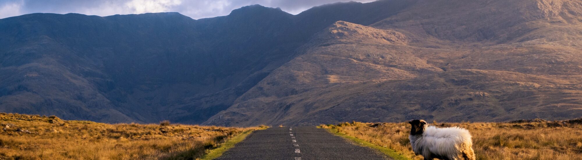 Se déplacer en voiture en Irlande