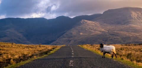 route connemara 1