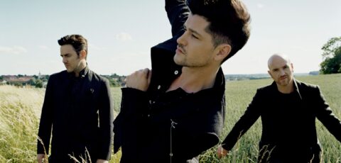 The Script
