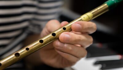 Le Tin Whistle