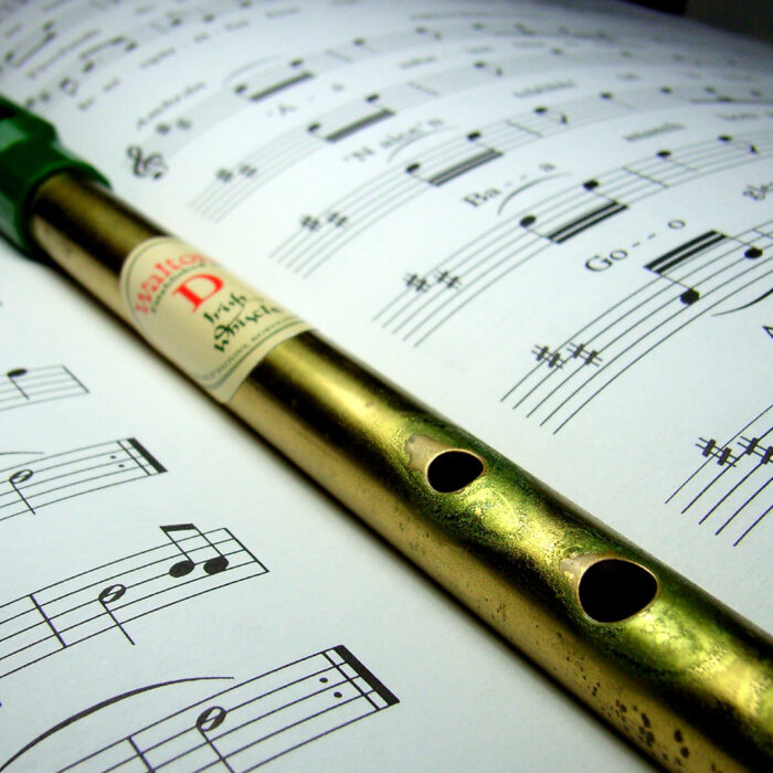 Un Tin Whistle - chidorian - cc