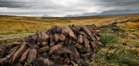 tourbe irlande