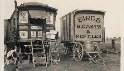 Roulottes de travellers - Tyne & Wear Archives & Museums - cc