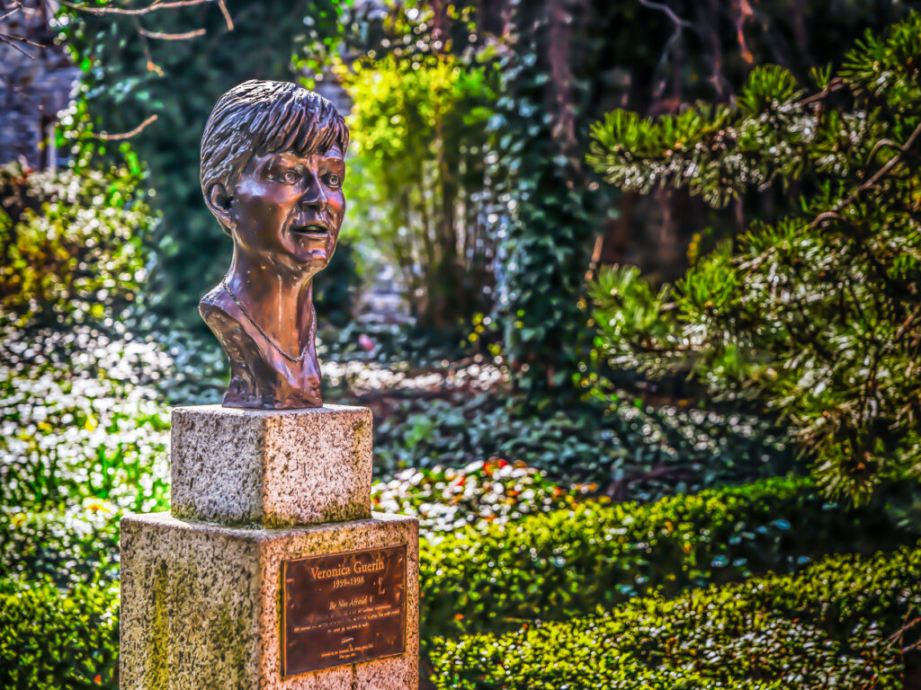 Veronica Guerin - William Murphy - cc