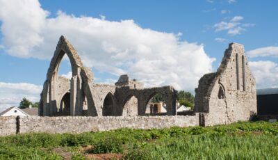 La Castledermot Abbey - Andreas F. Borchert - cc