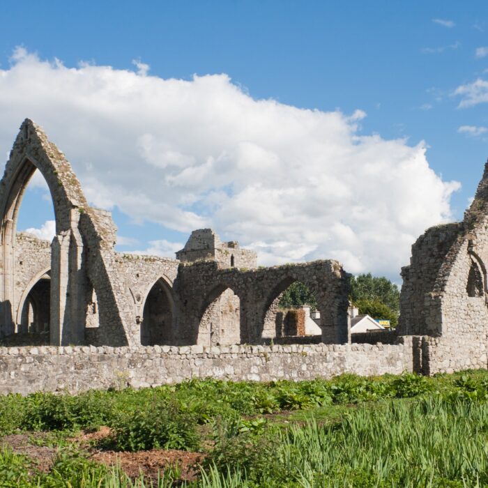 La Castledermot Abbey - Andreas F. Borchert - cc