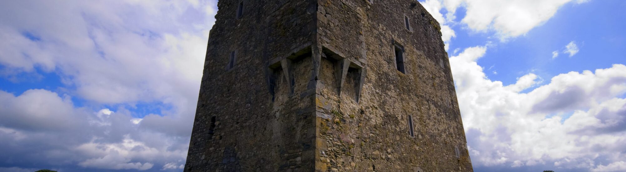 Le Ballymalis Castle -  Shane Laake 