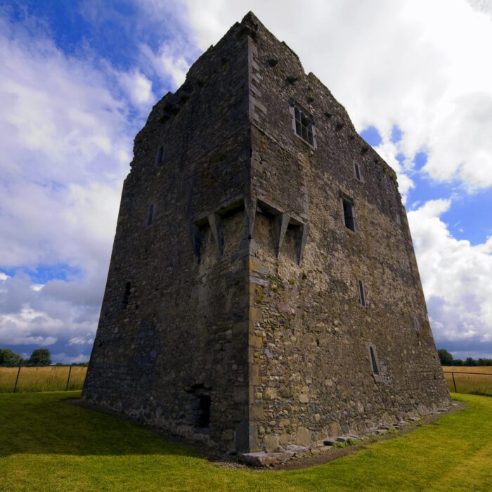 Le Ballymalis Castle - Shane Laake