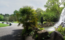 Iveagh Garden - Michael Foley - cc
