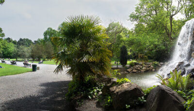 Iveagh Garden - Michael Foley - cc