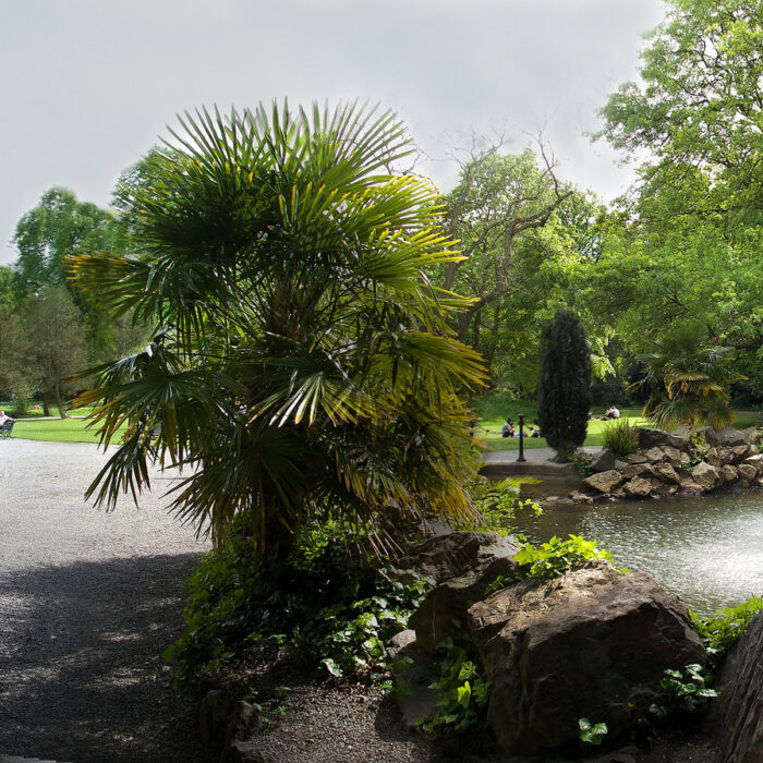 Iveagh Garden - Michael Foley - cc