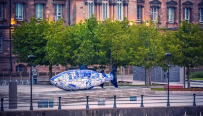 Big Fish, Belfast - © Nataliya Hora 