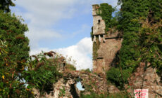 Castle Bernard - gluecksaktivist - cc