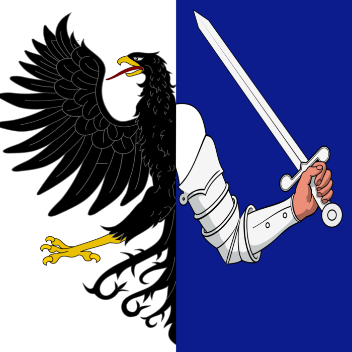 Drapeau du Connacht