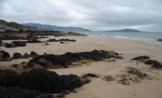 Buncrana beach - Ana Rey - cc