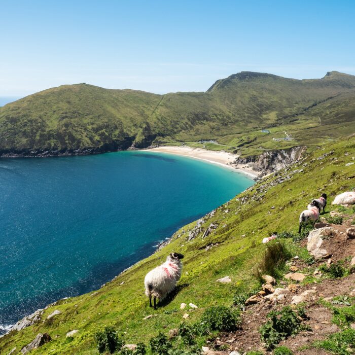La Keem Beach - © mark_gusev