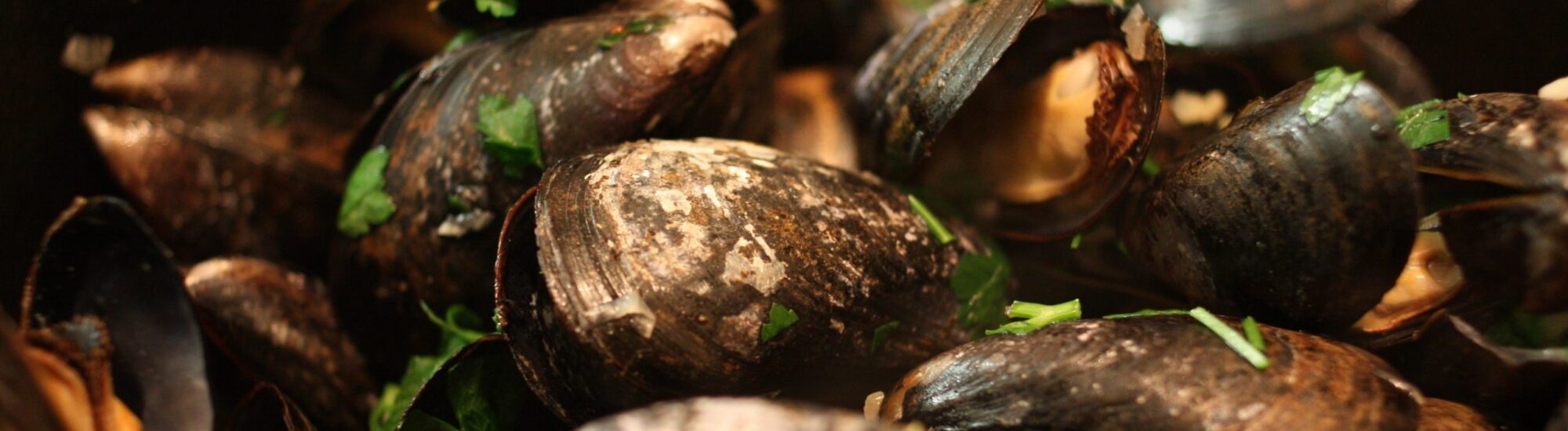 Des Moules à la Guinness - naotakem - cc