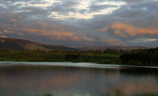 Blessington Lakes - john cahill - cc