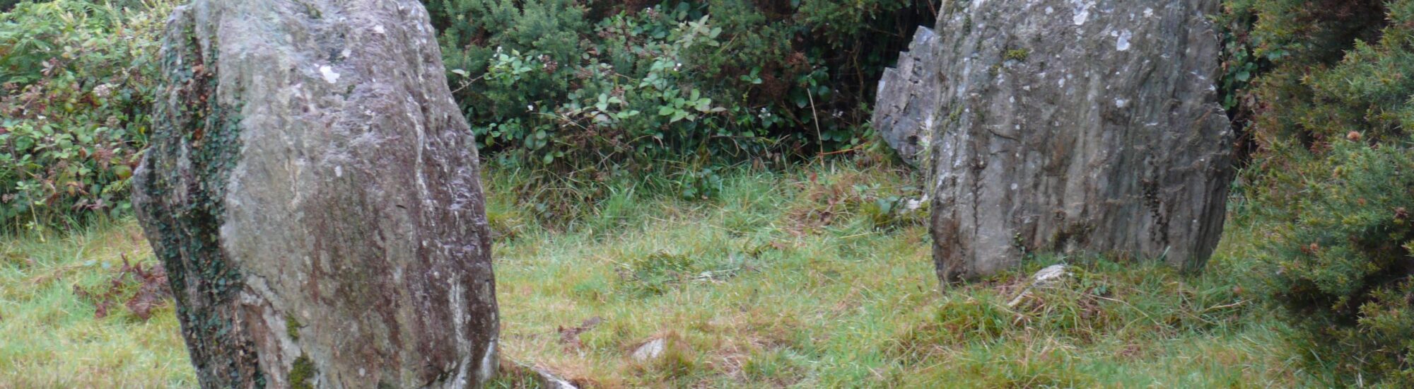 Le Ahakista stone circle - Ann & Peter Macdonald - cc