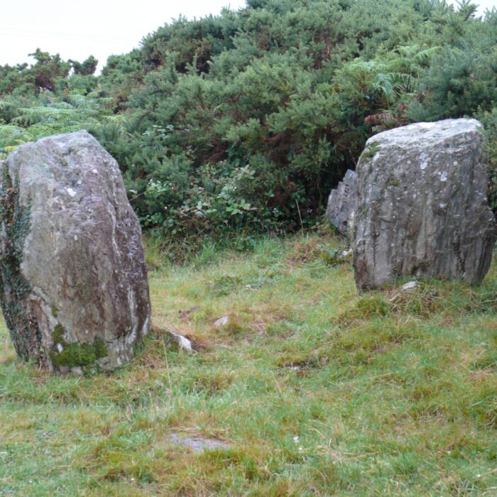 Le Ahakista stone circle - Ann & Peter Macdonald - cc