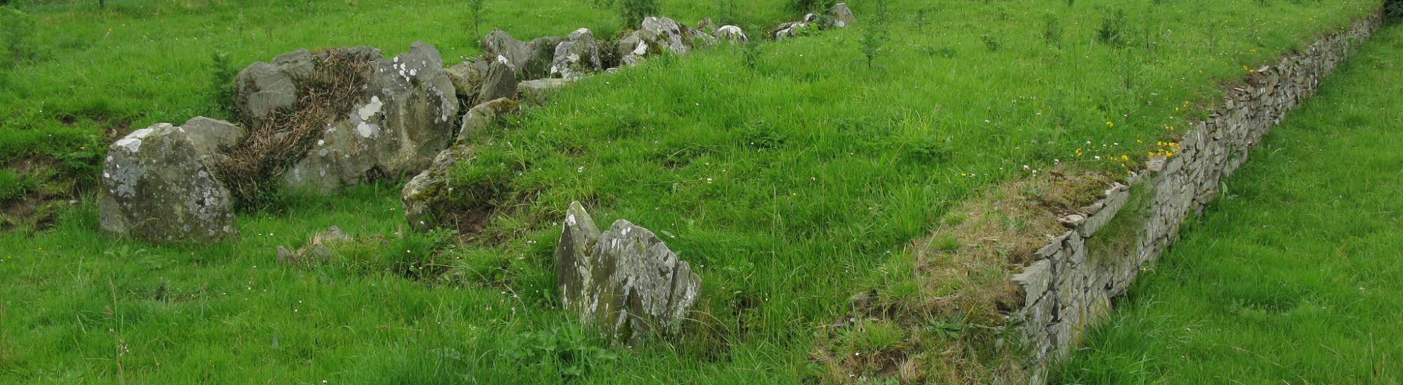 Audleystown Cour Cairn - Ray Hunt