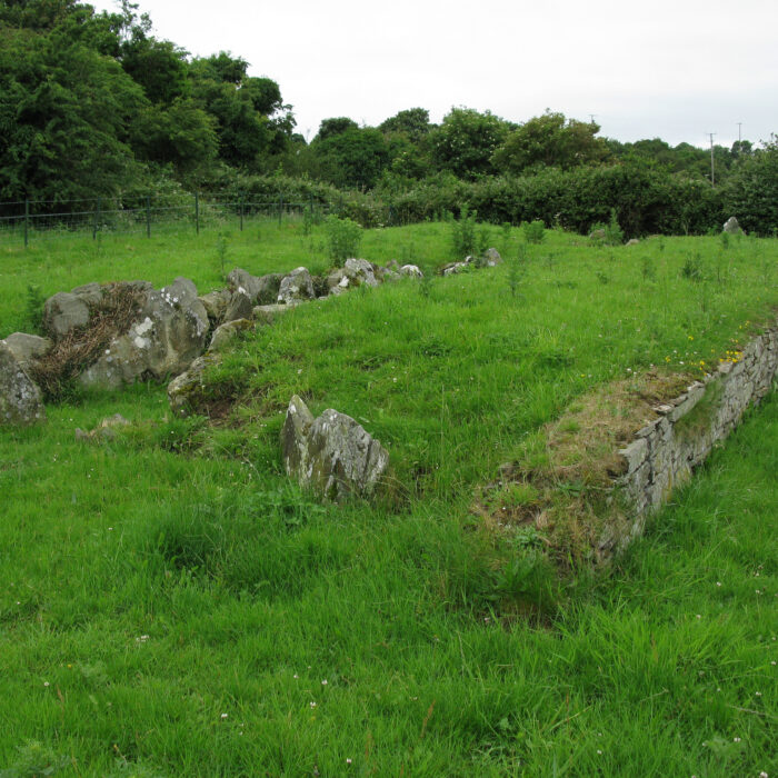 Audleystown Cour Cairn - Ray Hunt