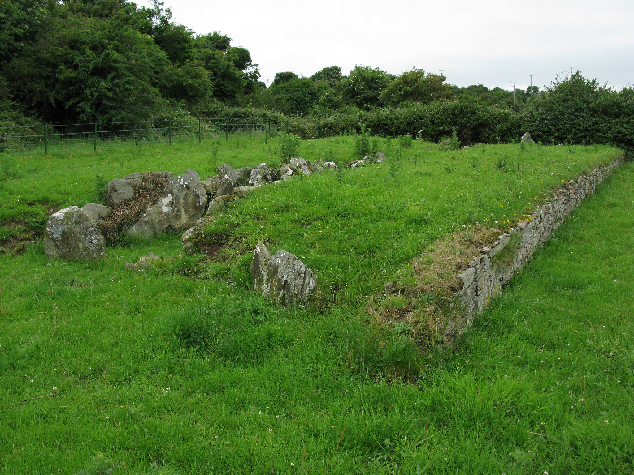 Audleystown Court Cairn • Guide