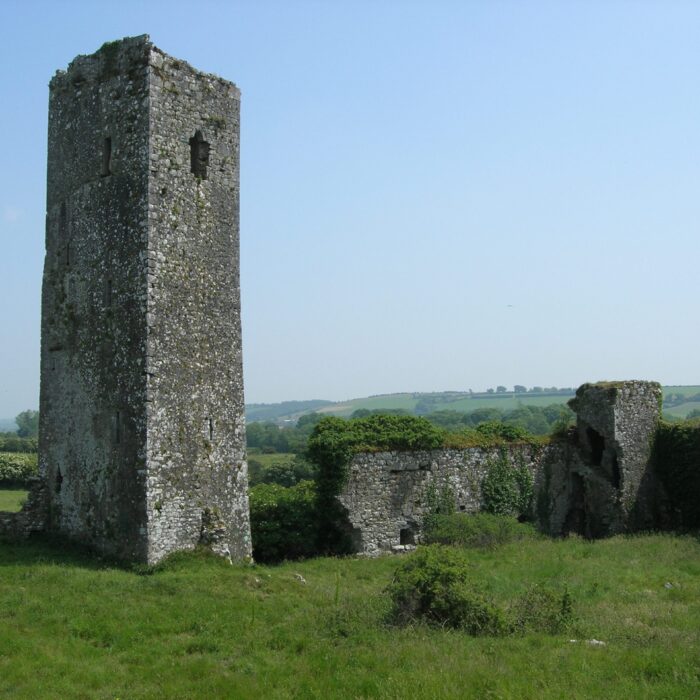 Le Ballincollig Castle - Brendandiamond - cc