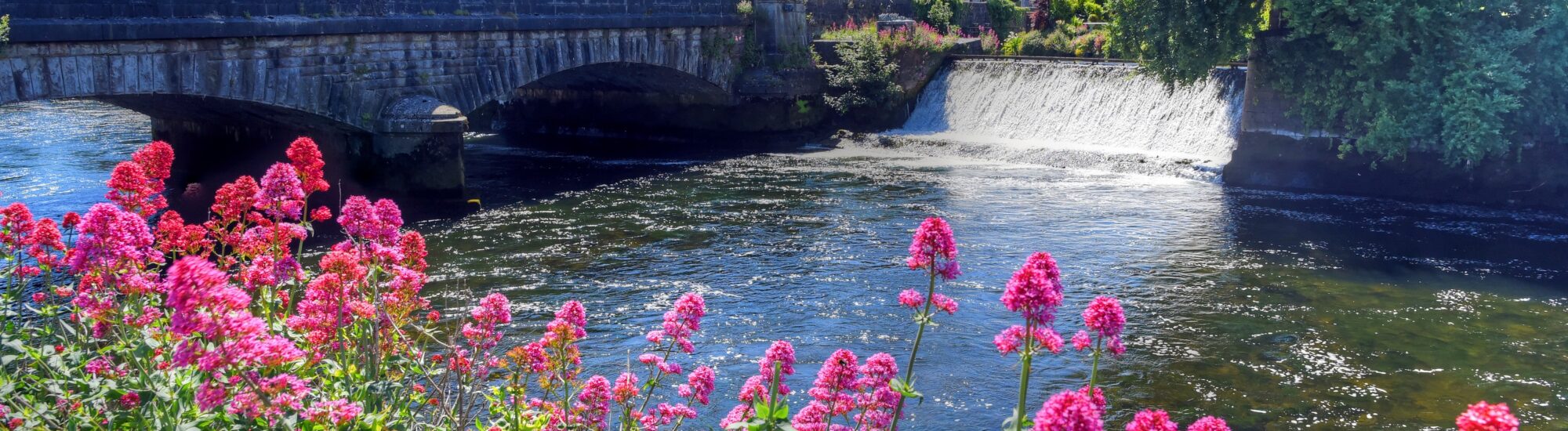 Le Bridge mills de Galway - © STLJB