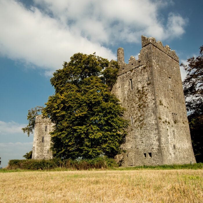 Le Burnchurch Castle - Simonak – cc
