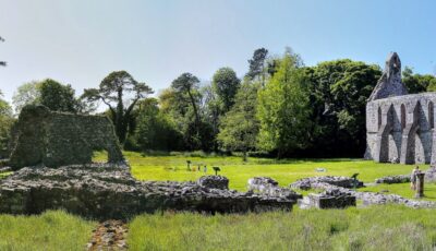 La Grey Abbey - BangorArt - cc