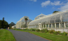 Le National Botanic gardens de Glasnevin - Simon - cc