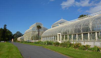 Le National Botanic gardens de Glasnevin - Simon - cc