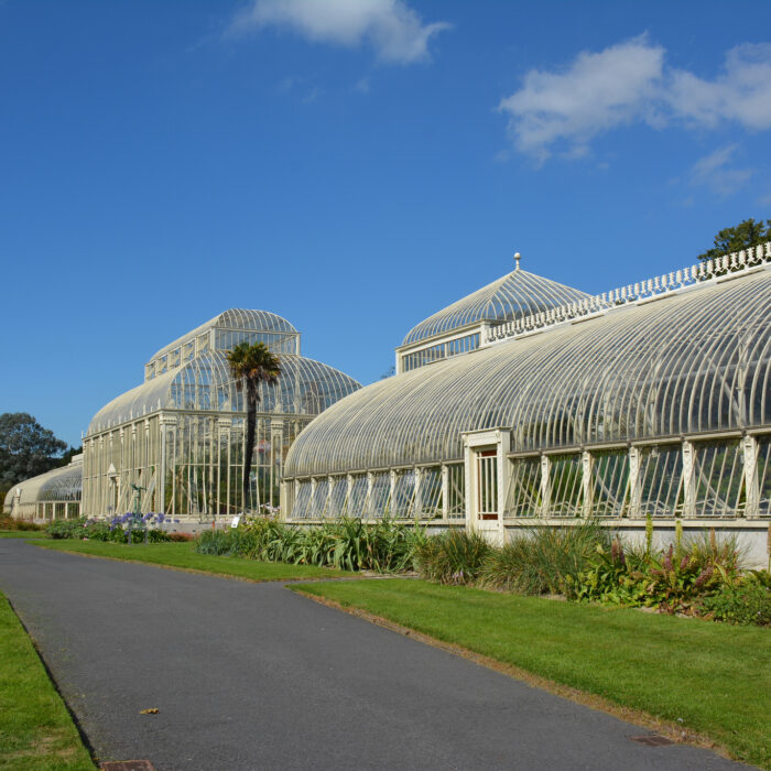 Le National Botanic gardens de Glasnevin - Simon - cc