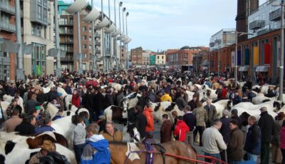 Le Smithfield Horse Market - Andrea & Stefan - cc