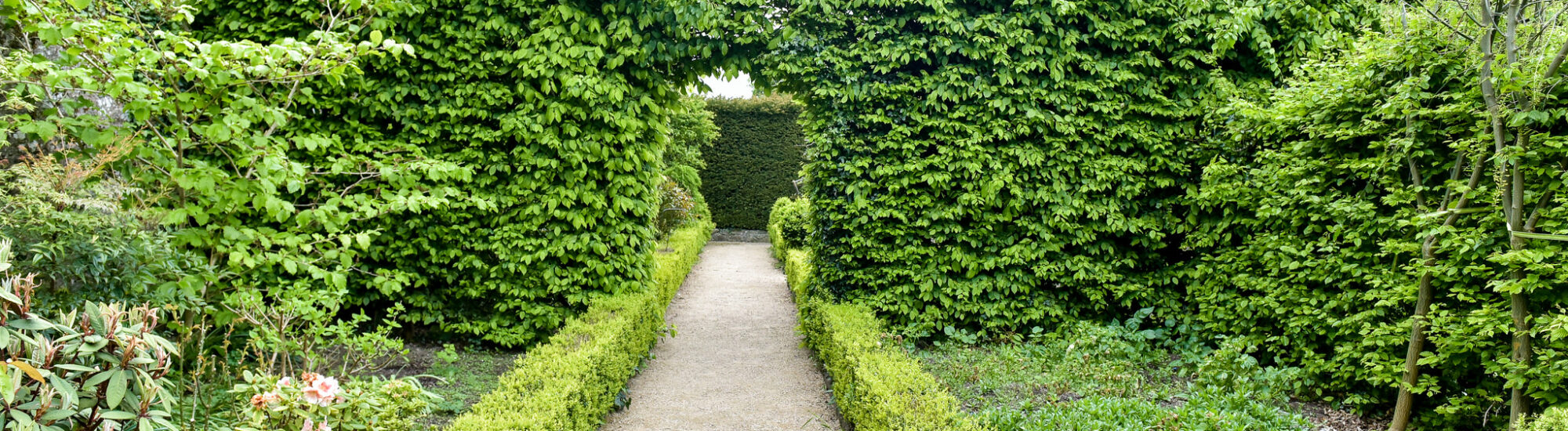 Altamont Gardens - Sean Rowe - cc