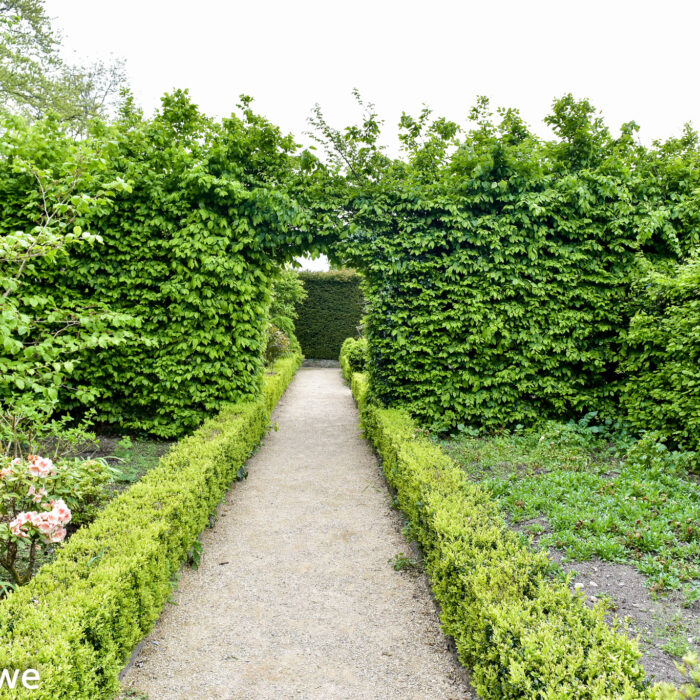 Altamont Gardens - Sean Rowe - cc