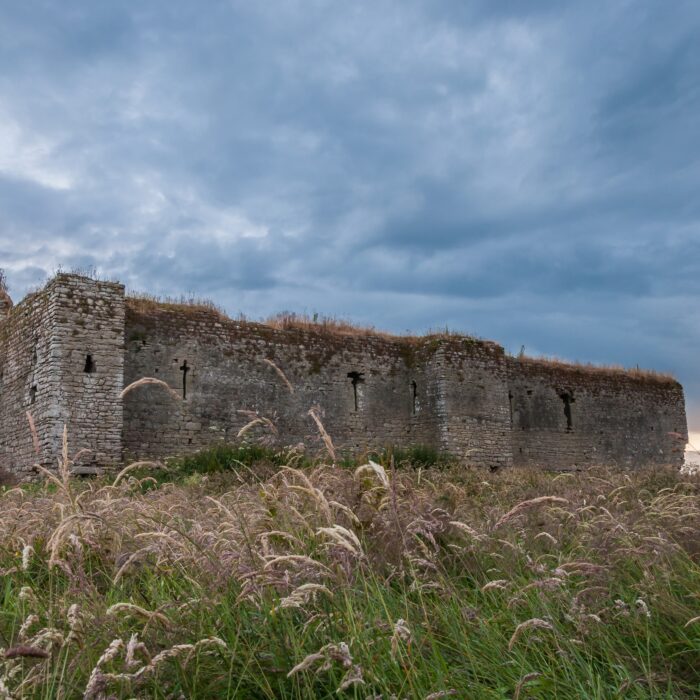Le Ballymoon Castle – Poleary91 – cc