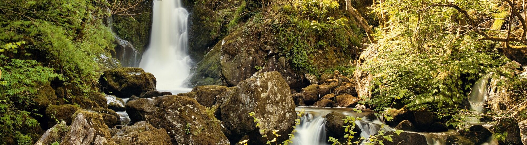 Devil's Glen - © leo