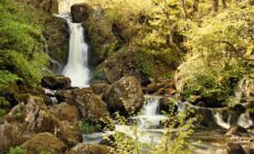 Devil's Glen - © leo