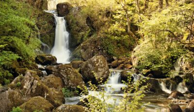 Devil's Glen - © leo